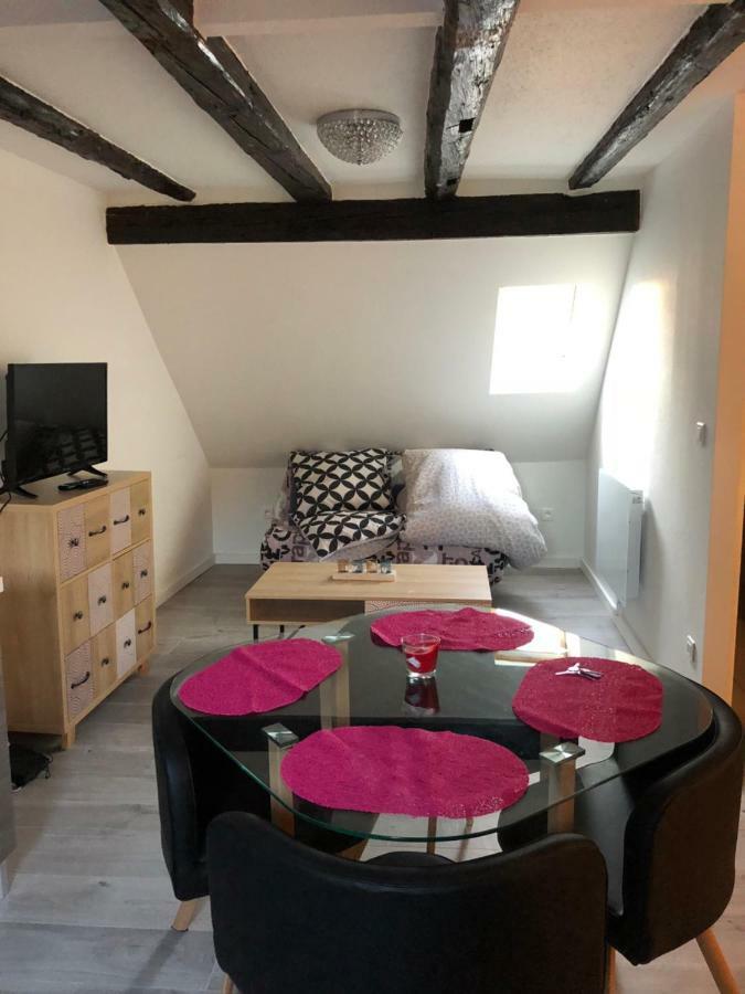 Appartamento Duplex Hyper centre colmar Esterno foto
